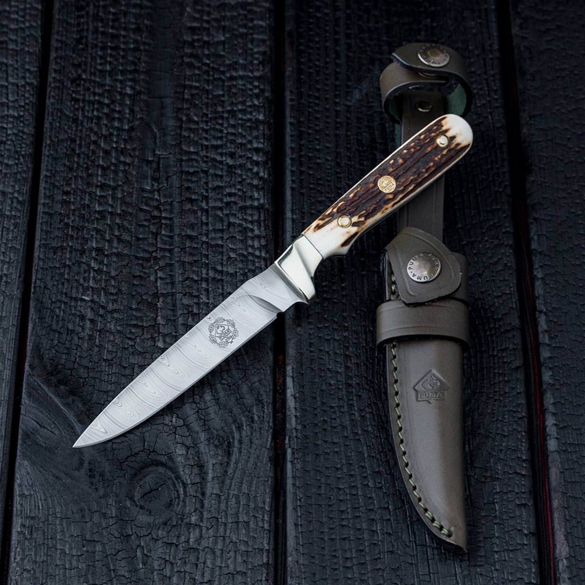 Puma Knives 250 Year Anniversary Stag Damascus Steel German Made Hunting Knife with Leather Sheath