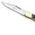 PUMA Prince Natural Staghorn Handles German Made Folding Hunting Knife