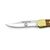 Puma Mini Game Warden (Miniature Knife) Wood German Made Folding Hunting Knife