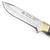 Puma SGB Wildcat Black G10 Hunting Knife with Leather Sheath