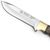 Puma SGB Wildcat Jacaranda Wood Hunting Knife with Leather Sheath