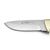 PUMA IP Rehwild Stag Handle Spanish Made Hunting Knife With Leather Sheath