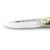 Puma IP Paloma Stag Handle Spanish Made Folding Hunting Knife