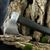Puma German Made Hunting Lodge Hatchet